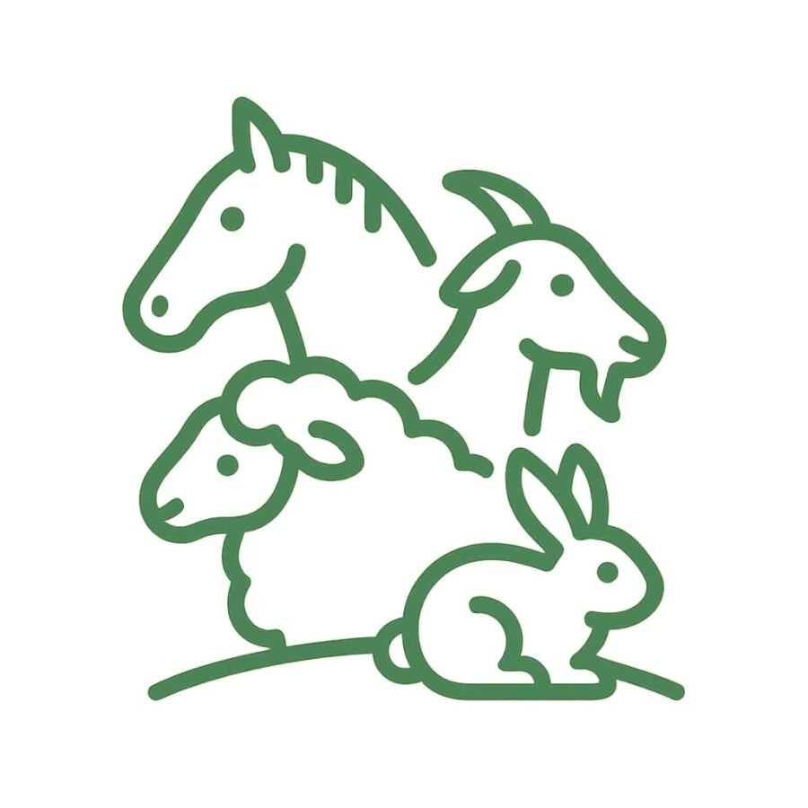 Miscanthus als Strooisel voor dieren | Miscagri