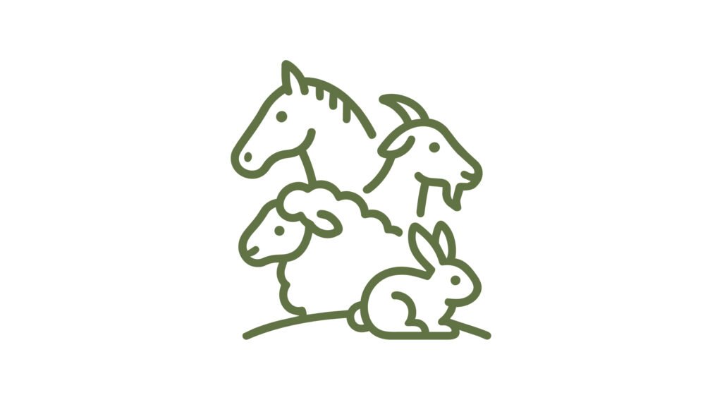 Strooisel voor dieren